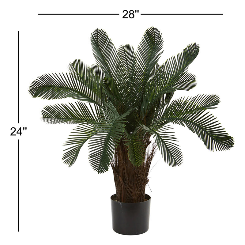 2ft. Cycas Artificial Tree, UV Resistant (Indoor/Outdoor)