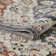 Oriental Indoor Rug