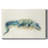 Alligator-Gallery Wrapped Canvas-1391551650