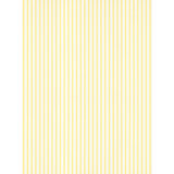 Johnson Stripe Wallpaper Roll