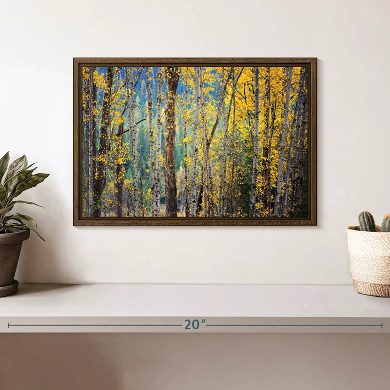 Kootenay Fall II, 13 po x 9 po, Cadre flottant en noyer