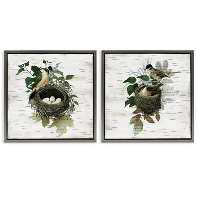 Ensemble de cadres flottants 2 pièces Rustic Vintage Bird Nids, design par Susan Arnot