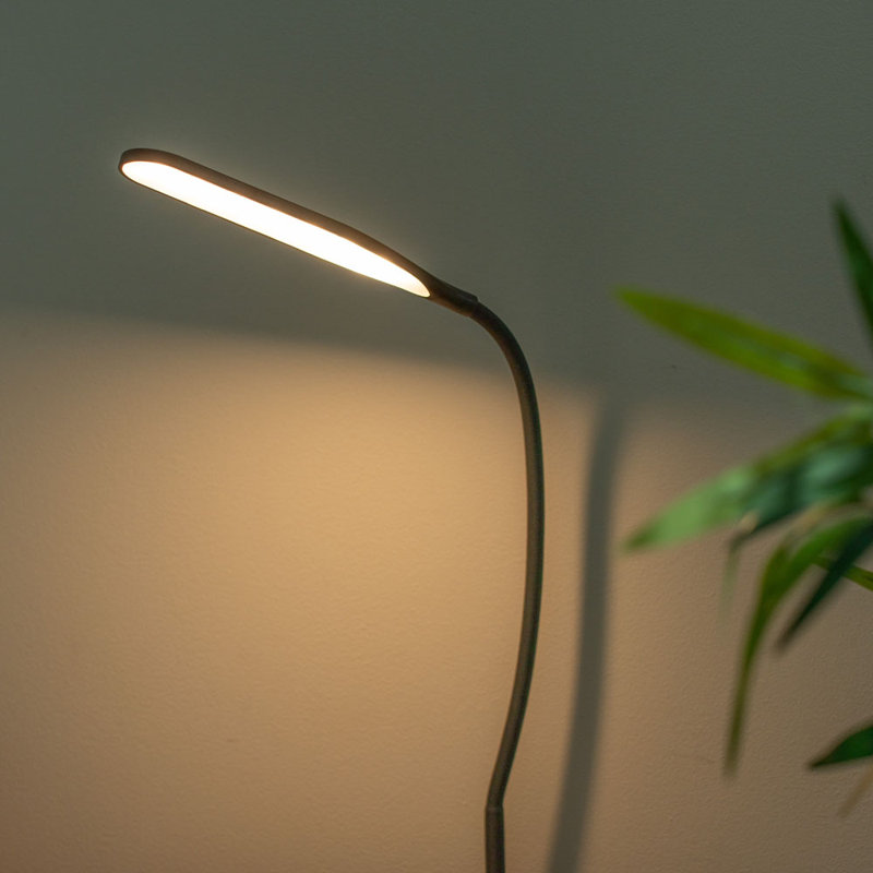 Ceona Lamp, Black