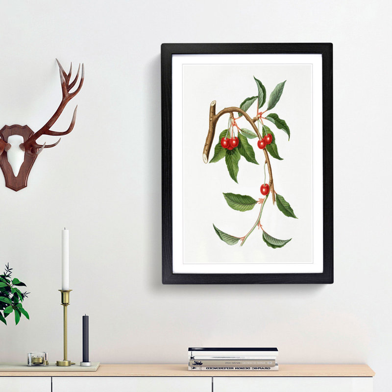 Sour Cherries by Giorgio Gallesio - Picture Frame Painting Print, 36cm H x 27cm W x 2cm D, Black Framed