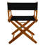 Oktan   Folding Director Chair-54339076-54339075
