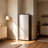 BANGSON 7.0 Cu.Ft Upright Freezer Garage Ready, Convertible Upright Freezer/Refrigerator for Kitchen, Garage, Apartment,Silver-113369912