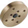 Multi Function Fixed Shower Head with H2Okinetic Technology