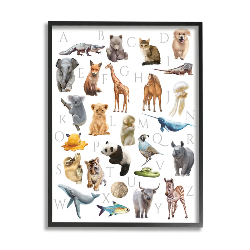 Animaux de l'alphabet traditionnel ABC - impression, Giclée encadrée noir minuit, H 14 po x l 11 po
