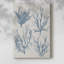 Collection Sea Coral I - galerie Cavas-40134291