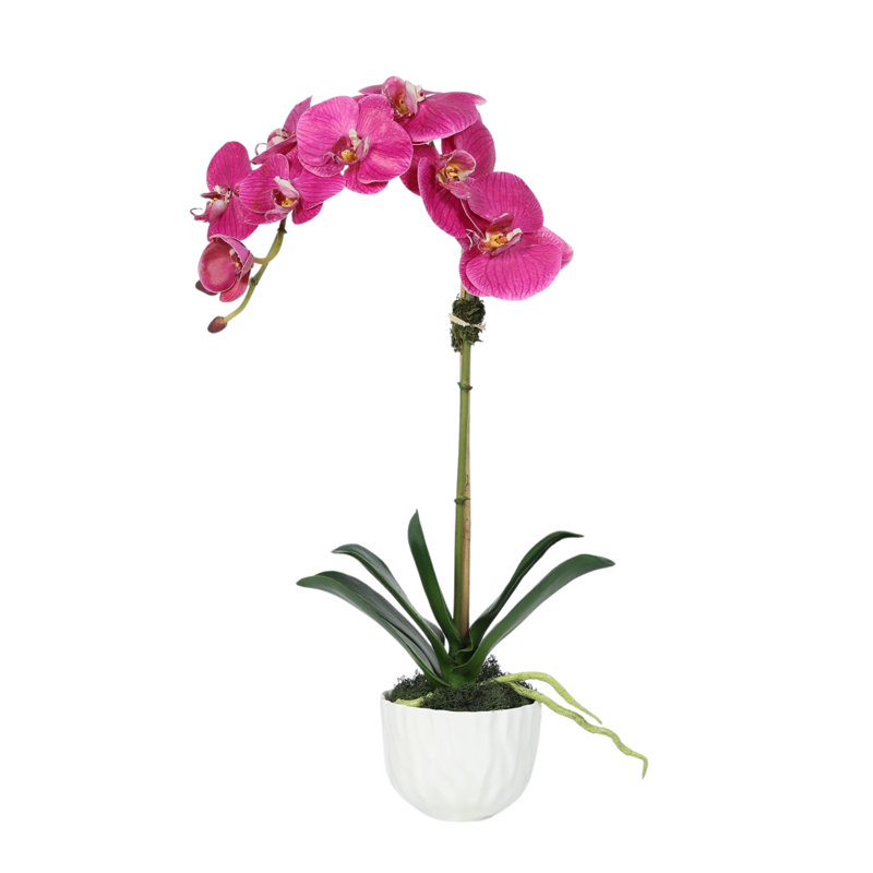 Silk Orchid Plant In White Vase, White, Pink
