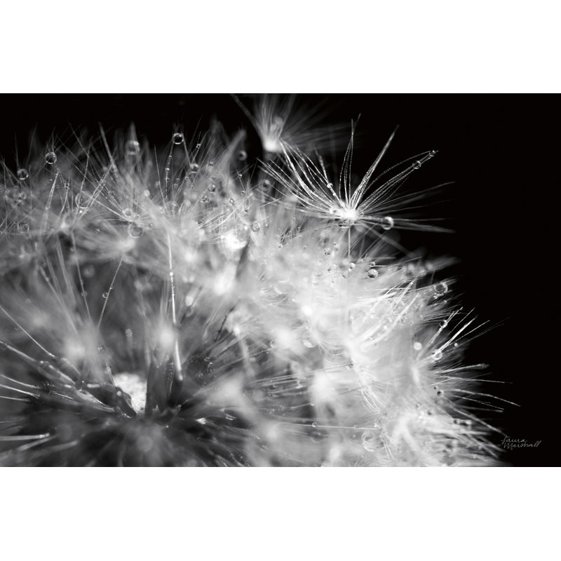 Up, On Black, Black And White, 16" H x 24" W x 1.5" D