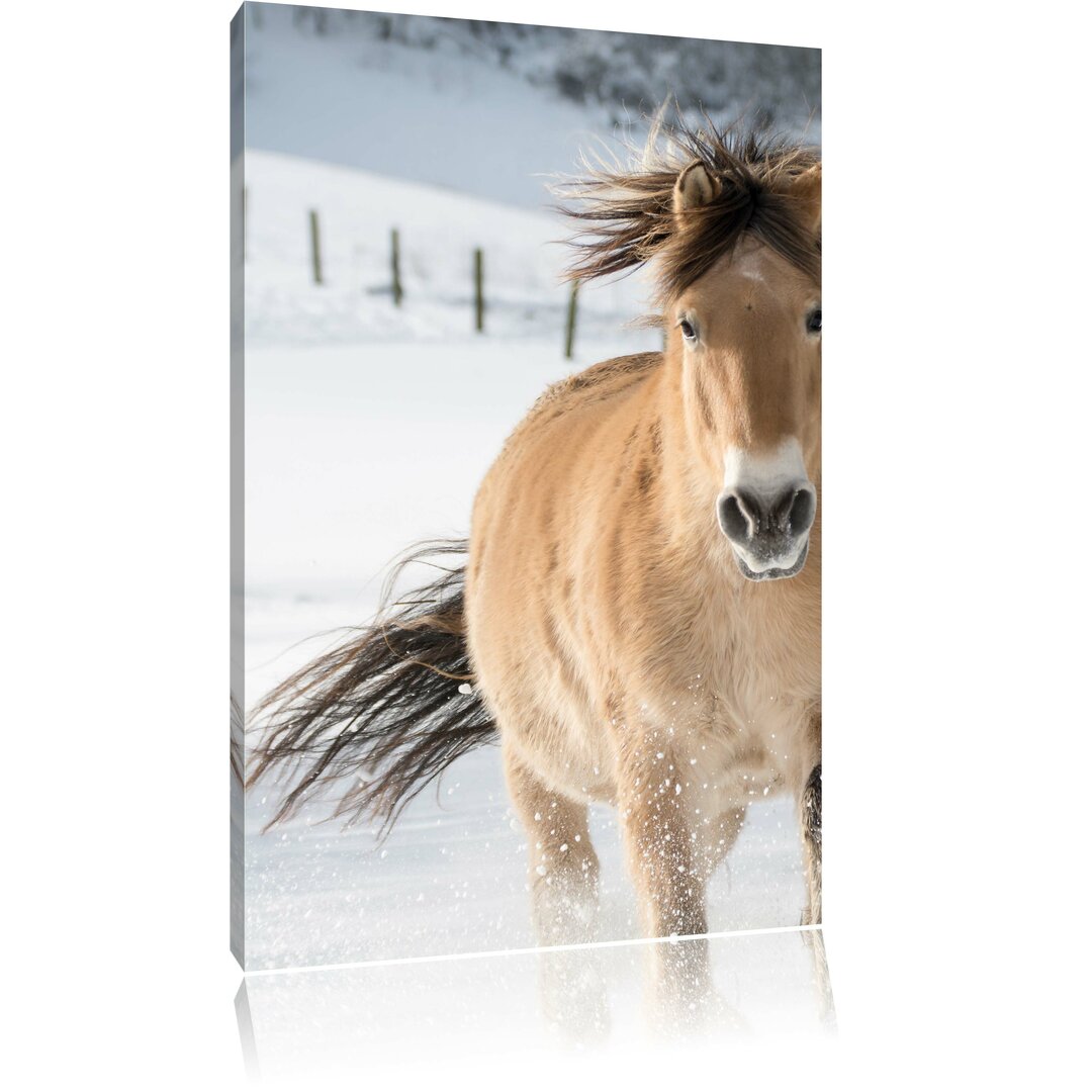 Leinwandbild Pferd im Schnee, Fotodruck