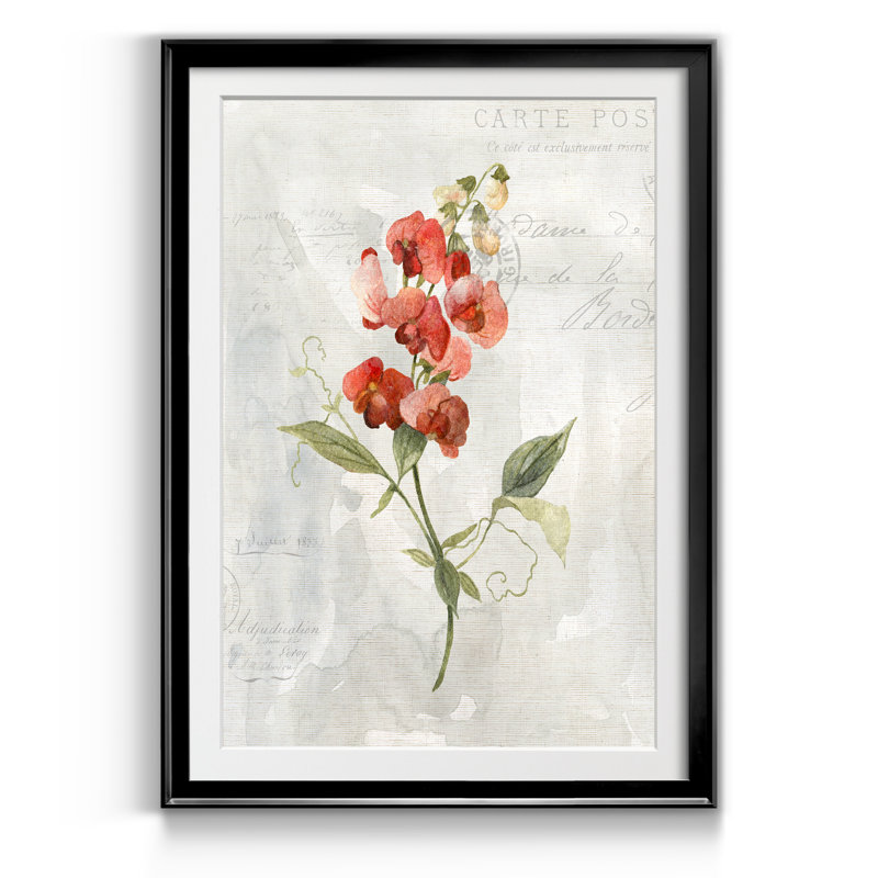 Lin Pois doux - Reproduction d'art sur papier encadrée, H 30,5 po x l 42,5 po x P 1,5 po, Noir