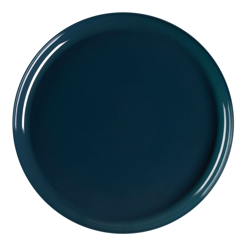 Assiettes plates rondes jetables en plastique bleu marine (25 cm) - 120 assiettes