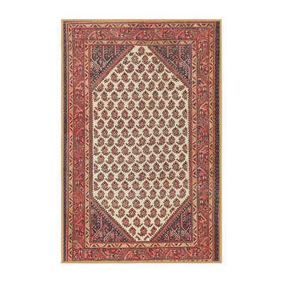 Southwestern Indoor Rug