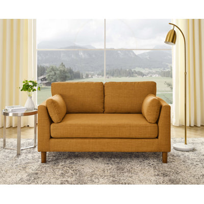 Castera 57'' Upholstered Loveseat