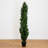 Mini Cedar Pine Silk Tree