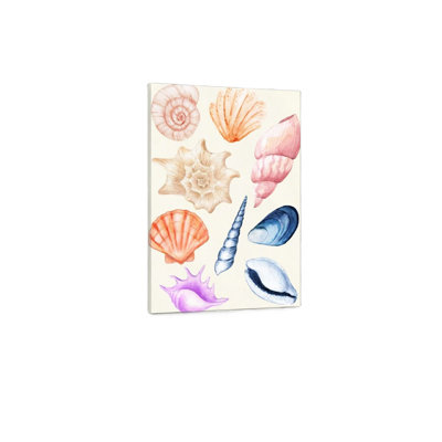 Beige Seashell Illustration Premium Canvas Wall Art,24 x 18 Inch,Home Decor for Living Room Bedroom