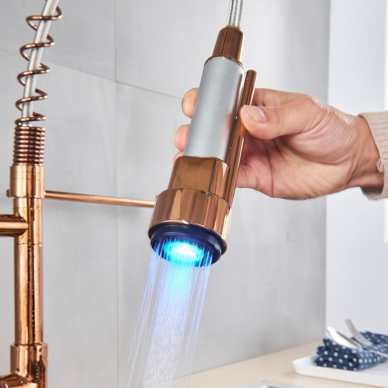 Robinet de cuisine rétractable Senlesen