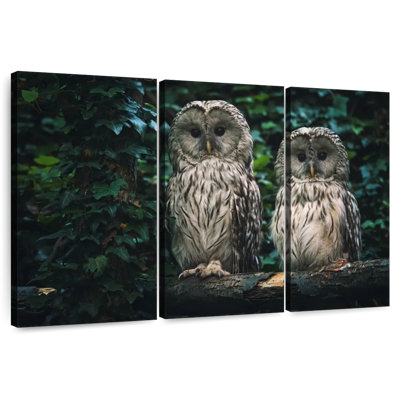 Owls On A Branch