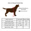 Small Clear Elevated Feeder with Color Bowls-61659534-62441846