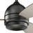 Vassar 52'' Ceiling Fan with LED Lights