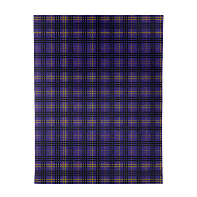 Plaid Indoor Rug