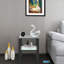 Ensemble de tables de bout en verre de 20,5 po de hauteur Euphrasie-1288960743-1288960742
