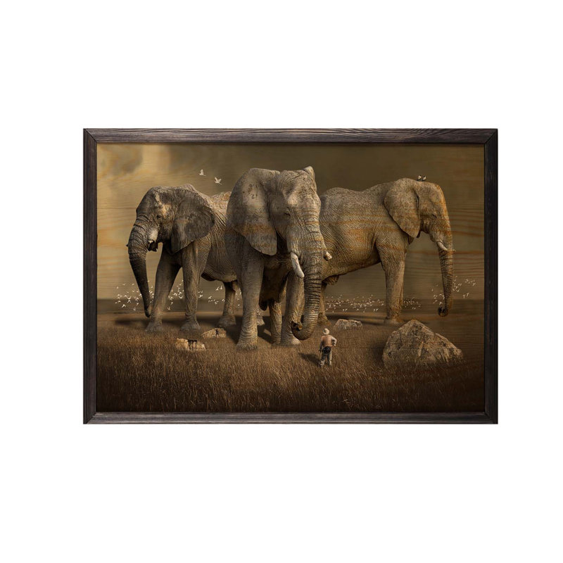 Perry Single Picture Frame Print on Wood, 50cm H x 70cm W x 2cm D