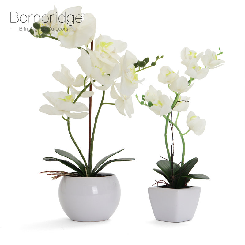 Orchidée artificielle dans un vase, Blanc