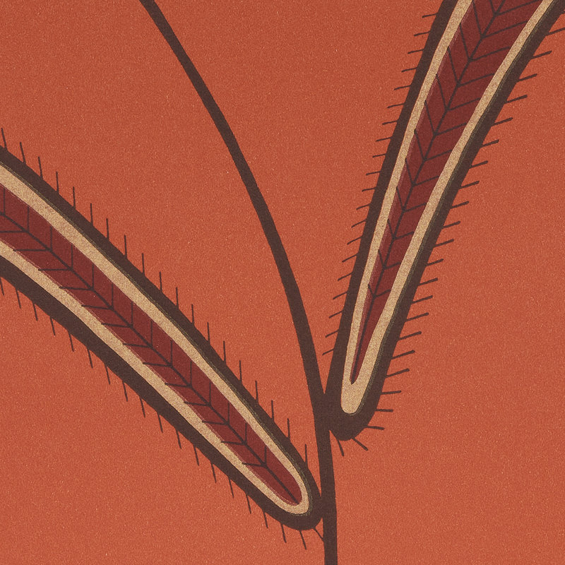 Papier peint Schumacher x Neisha Crosland, Tomate