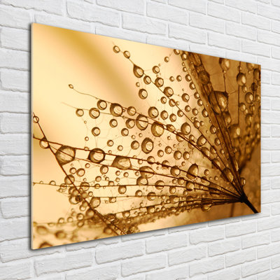 Glass Print Wall Art 100X70cm Image Printed On Glass Decorative Wall Picture Behind Toughened / Tempered Safety Real Glass For Kitchen & Living Room Theme:Dandelion Seeds