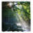 Shower Curtain-44324257