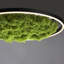 Ahlivia Not Applicable LED Flush Mount