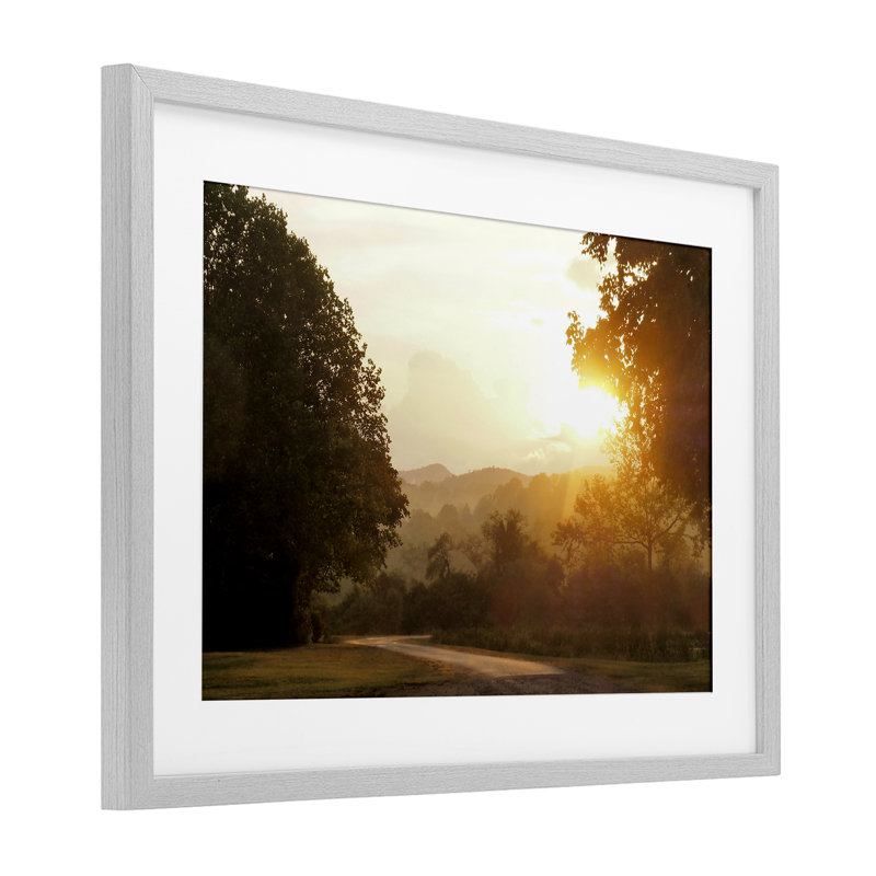 Golden Morning Entre Arbres, reproduction encadrée sous verre, design par Gail Peck, H 17 po x l 23 po, Cadre de ferme gris