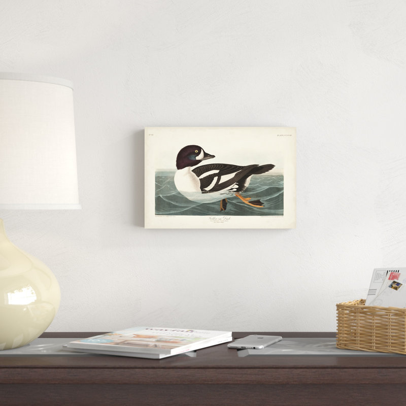 Pl 403, canard aux yeux d'or, H 8 po x l 12 po