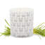 Large Cat Lazy Days Scented Jar Candle-276362465