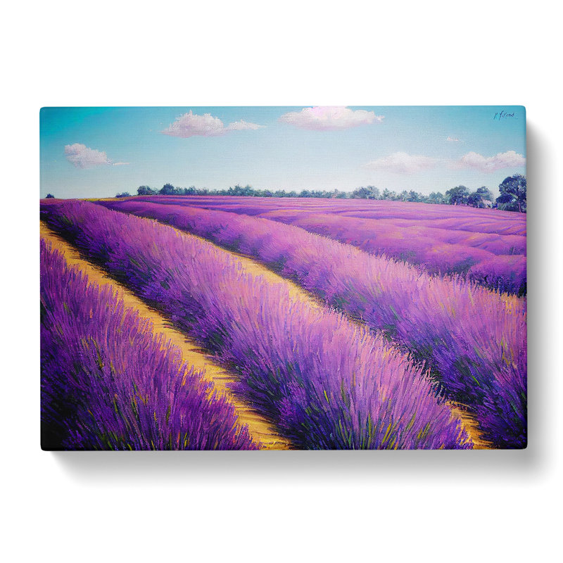 XXX-H1022-WF-8308X Stellar Lavender Flower Field - Wrapped Canvas Print, 35cm H x 50cm W x 3cm D