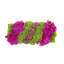Orchid and  Arrangement-286518432-286518435