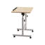 Adjustable Metal Base Computer Desk-1711456572