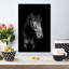Cheval noir dans le noir sur toile-607744696