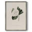 Impression florale vintage encadrée CL XXII - bois massif-331230225