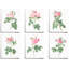 Ensemble de 6 pièces vintage rose rétro-1725209402