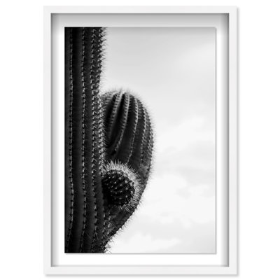 Desert Cactus - Photographie à cadre flottant
