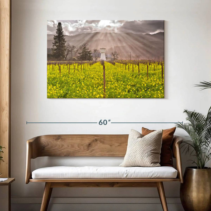 Vignes de Napa Valley, H 30 po x l 45 po