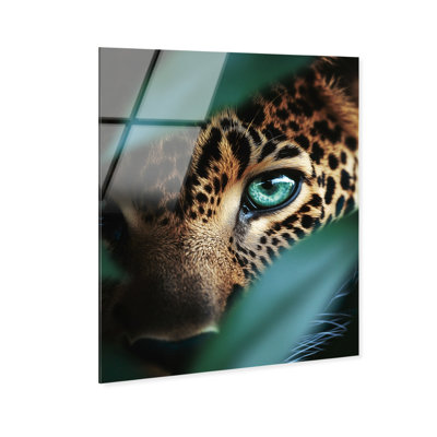 Jungle Watcher III High-Gloss Frameless Acrylic Glass Wall Art Animals Print by Oliver Gal, Ready to Hang, 16 x 20