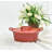 Omniware Oval Stoneware 2 Piece Casserole Bakeware Set-12829404-12829405