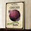 « seed packet oignon », reproduction d’art sur toile tendue-16158481
