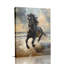 Cadre tendu avec toile dynamique «Black Stallion Courir sur la plage» pour Eclectic Studio-1046293440