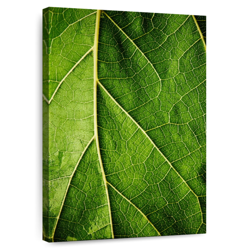 Détails de la feuille verte Harnek, H 45 po x l 30 po